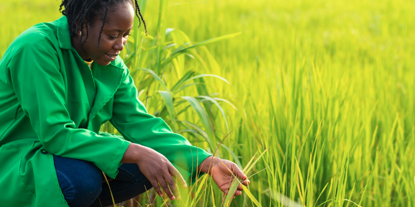 thumbnails Bridging Continents: Agricultural Trade Between South Africa and Southeast Asia